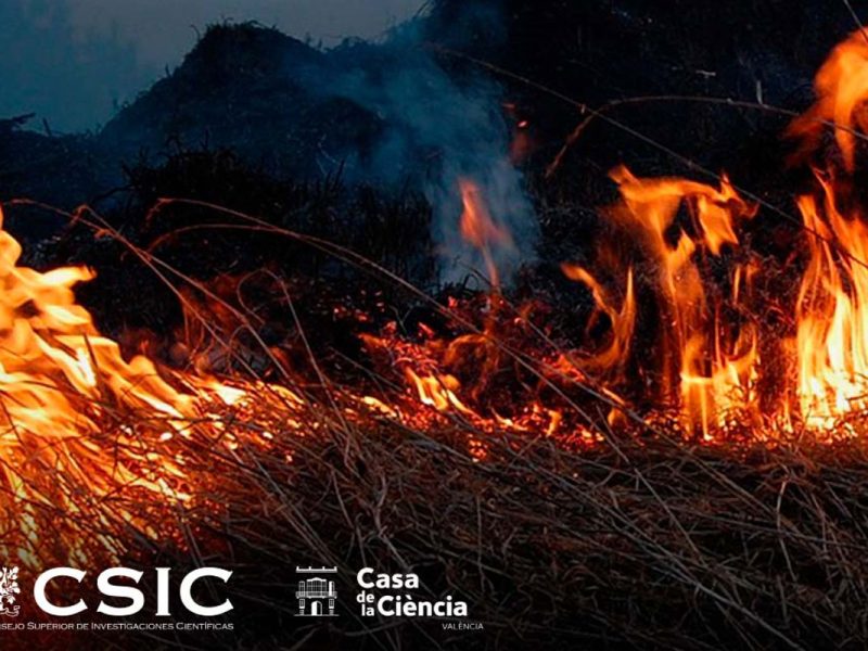 incendios-forestales