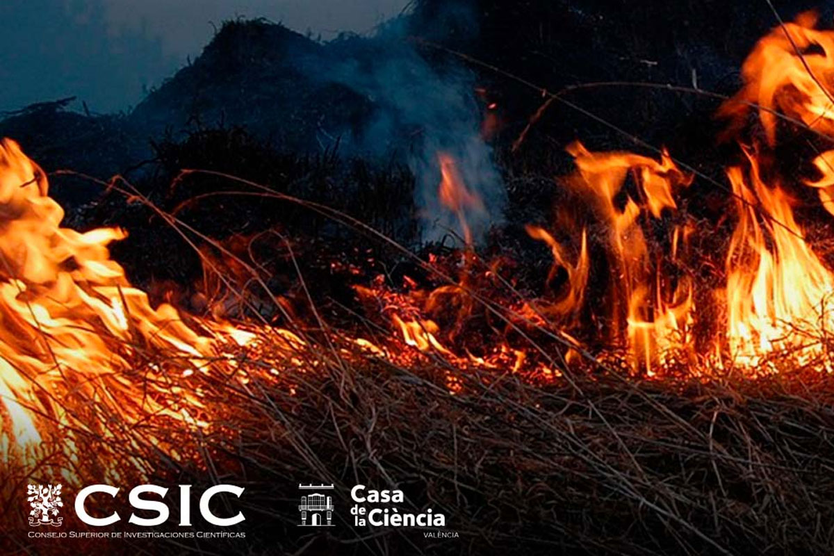 incendios-forestales