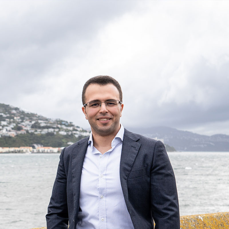 Amir Piroz