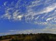 REDCLIMA, Mañana 1 -07-2021 y nubes