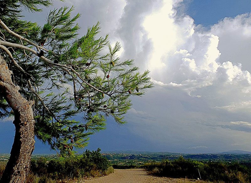 VR Acis y tormentas 30-08-2021