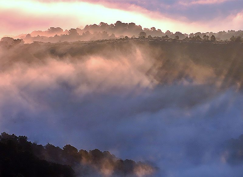 WIND ATLAS, Amanecer con nieblas. 17-02-2020