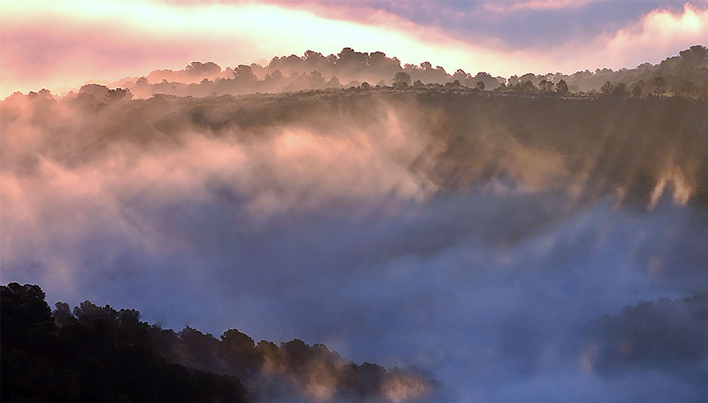 WIND ATLAS, Amanecer con nieblas. 17-02-2020