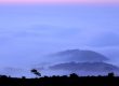 WIND-COAST